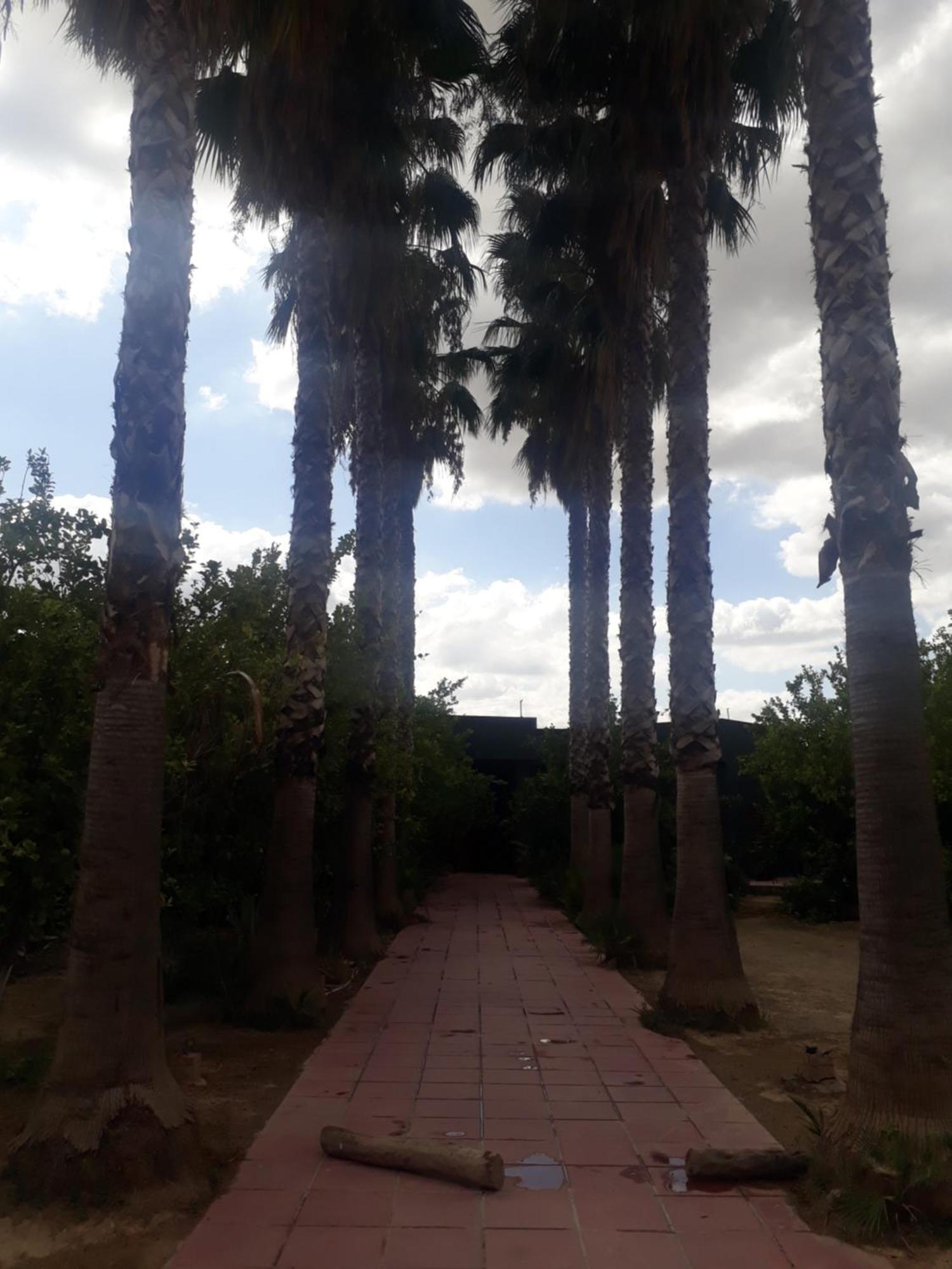 Dar Khedija Guest House El Kheriba Exterior foto